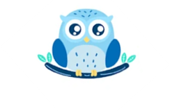 Blue Owl (previously known as Acorn)